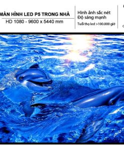 Màn Hình Led P5 Trong Nhà - HD 1080 - 9600 x 5440 mm.