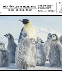 Màn Hình Led P5 Trong Nhà - HD 480 - 3840 x 2400 mm.